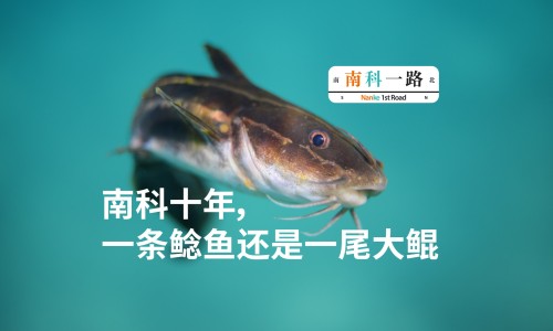 冬蜜与花蜜的区别在哪里-冬蜜与花蜜的区别网-分享冬蜜与花蜜的区别是什么，蜜款冬花的功效知识库